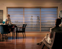 PirouetteWindowShadings