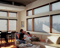 SilhouetteWindowShadings