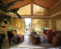 VignetteModernRomanShades-sm